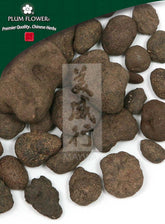 雷丸,未硫化的 Omphalia lapidescens 真菌